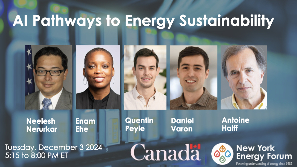 AI Pathways to Energy Sustainability