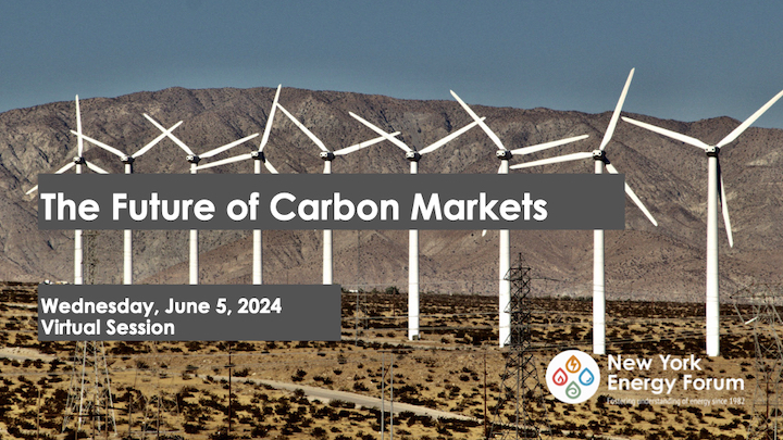 The Future of Carbon Markets
