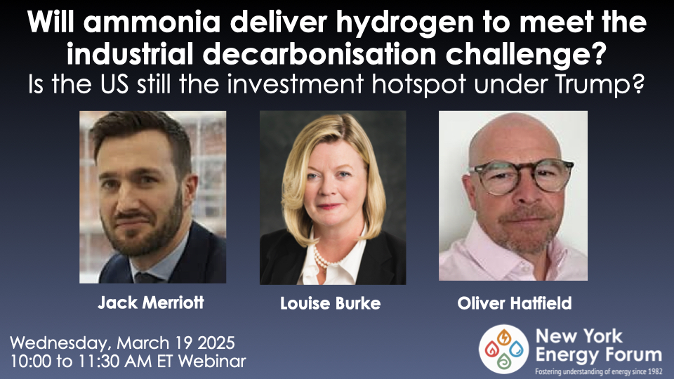 Will Ammonia Deliver Hydrogen to Meet the Industrial Decarbonisation Challenge? Is the US Still the Investment Hotspot Under Trump?