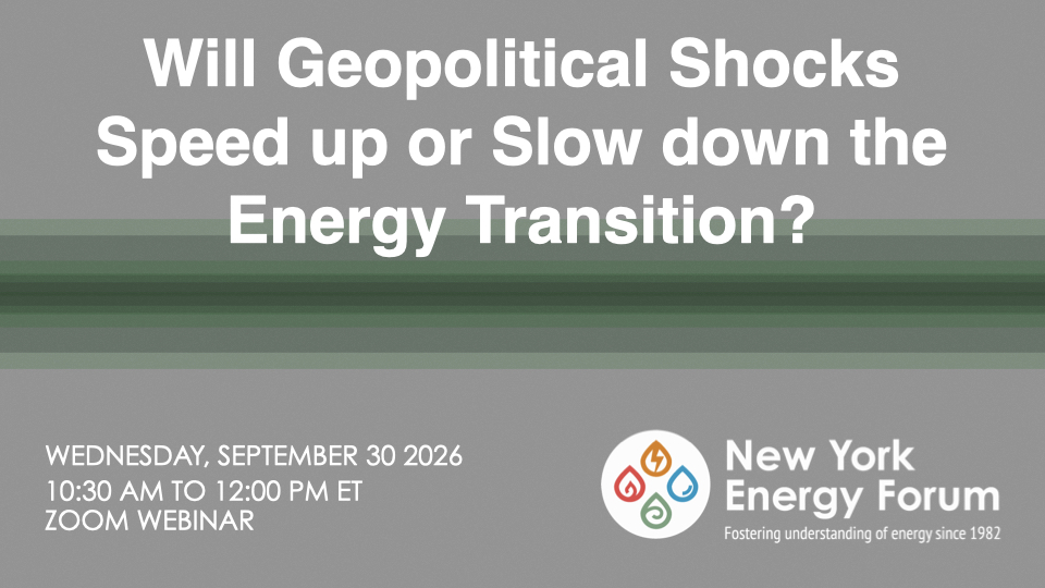 Will Geopolitical Shocks Speed up or Slow down the Energy Transition?