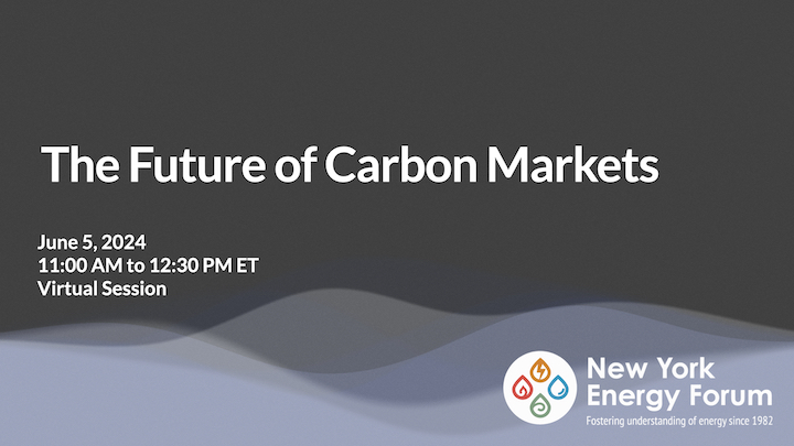 The Future of Carbon Markets